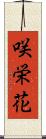 咲栄花 Scroll