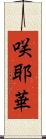 咲耶華 Scroll