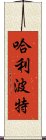 哈利·波特 Scroll