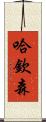 Hutchinson Scroll