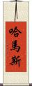 哈馬斯 Scroll