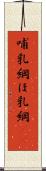 哺乳綱 Scroll
