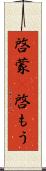 啓蒙(P) Scroll
