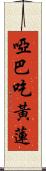啞巴吃黃蓮 Scroll