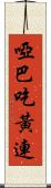 啞巴吃黃連 Scroll