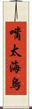 嘴太海烏 Scroll