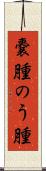 嚢腫 Scroll