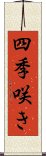 四季咲き Scroll