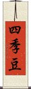 四季豆 Scroll