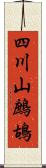 四川山鷓鴣 Scroll