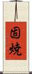 固焼 Scroll
