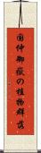 国仲御嶽の植物群落 Scroll