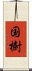 国樹 Scroll