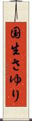 国生さゆり Scroll