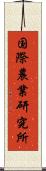 国際農業研究所 Scroll