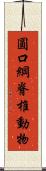 圓口綱脊椎動物 Scroll