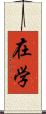 在学 Scroll