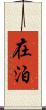 在泊 Scroll