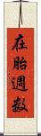 在胎週数 Scroll