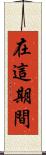 在這期間 Scroll
