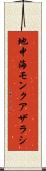 地中海モンクアザラシ Scroll