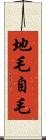 地毛 Scroll