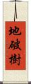 地破樹 Scroll