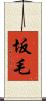 坂毛 Scroll