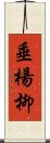 垂楊柳 Scroll