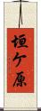 垣ケ原 Scroll