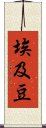 埃及豆 Scroll