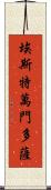 Estevan Mendoza Scroll