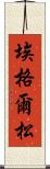 埃格爾松 Scroll