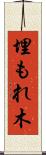 埋もれ木 Scroll