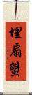 埋扇蟹 Scroll