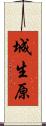 城生原 Scroll