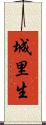 城里生 Scroll