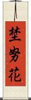 埜努花 Scroll
