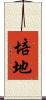 培地 Scroll