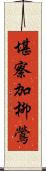 堪察加柳鶯 Scroll