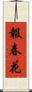 報春花 Scroll