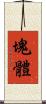 塊體 Scroll