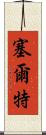 塞爾特 Scroll