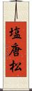 塩唐松 Scroll