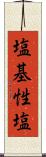 塩基性塩 Scroll