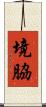 境脇 Scroll
