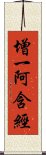 增一阿含經 Scroll