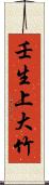 壬生上大竹 Scroll