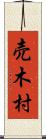 売木村 Scroll