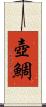 壺鯛 Scroll